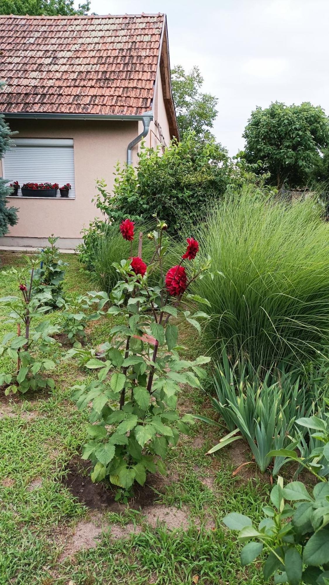 Country house Sobe Masa Subotica