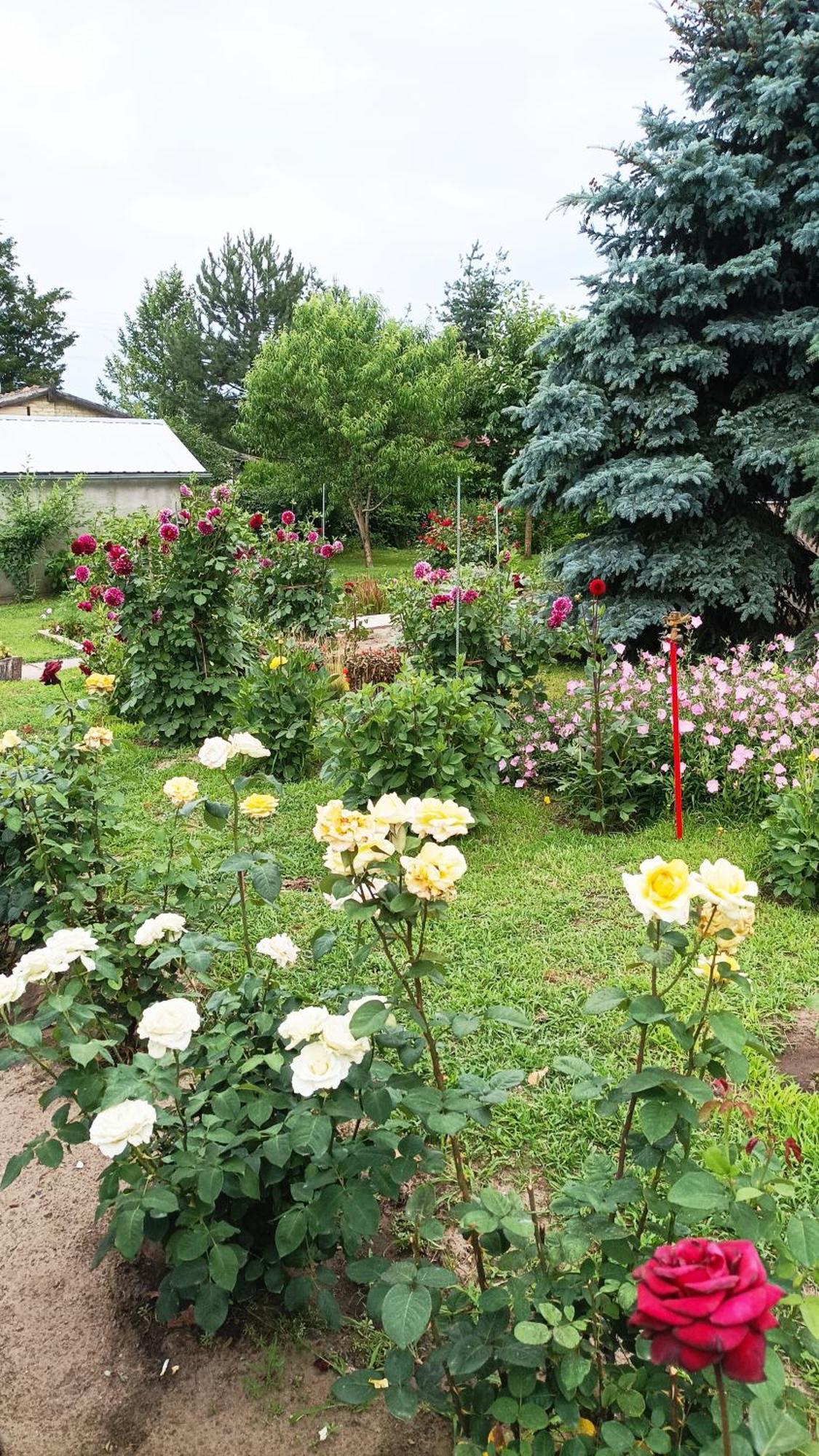 Sobe Masa Country house Subotica