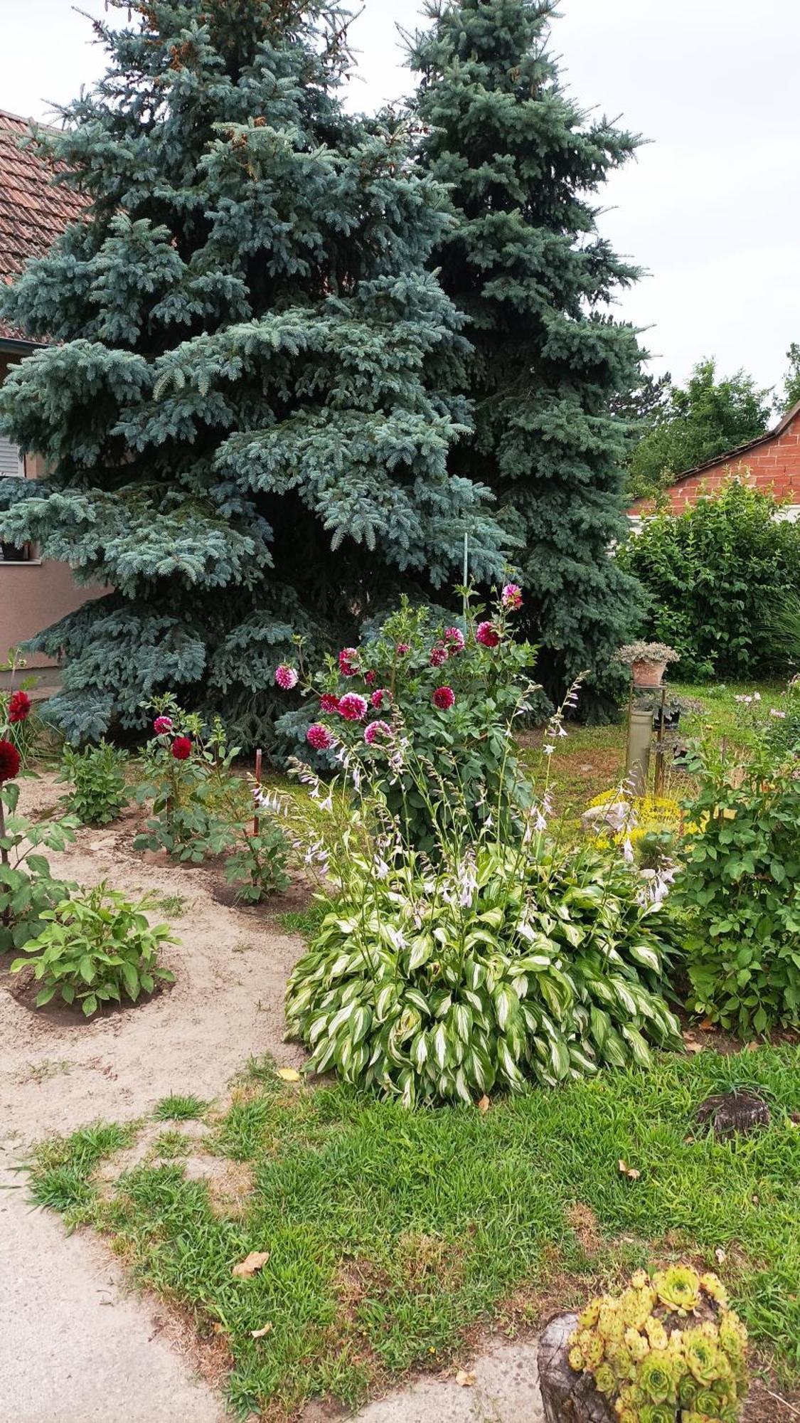 Sobe Masa Country house Subotica