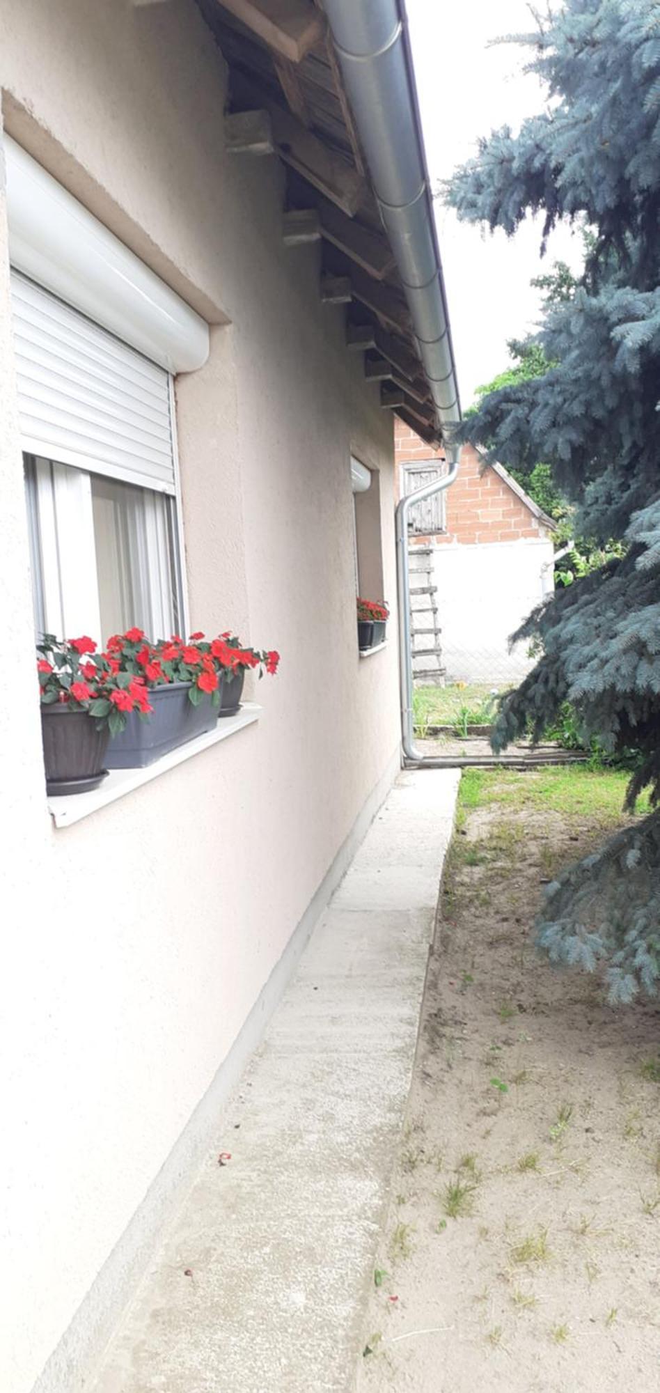 Sobe Masa Country house Subotica