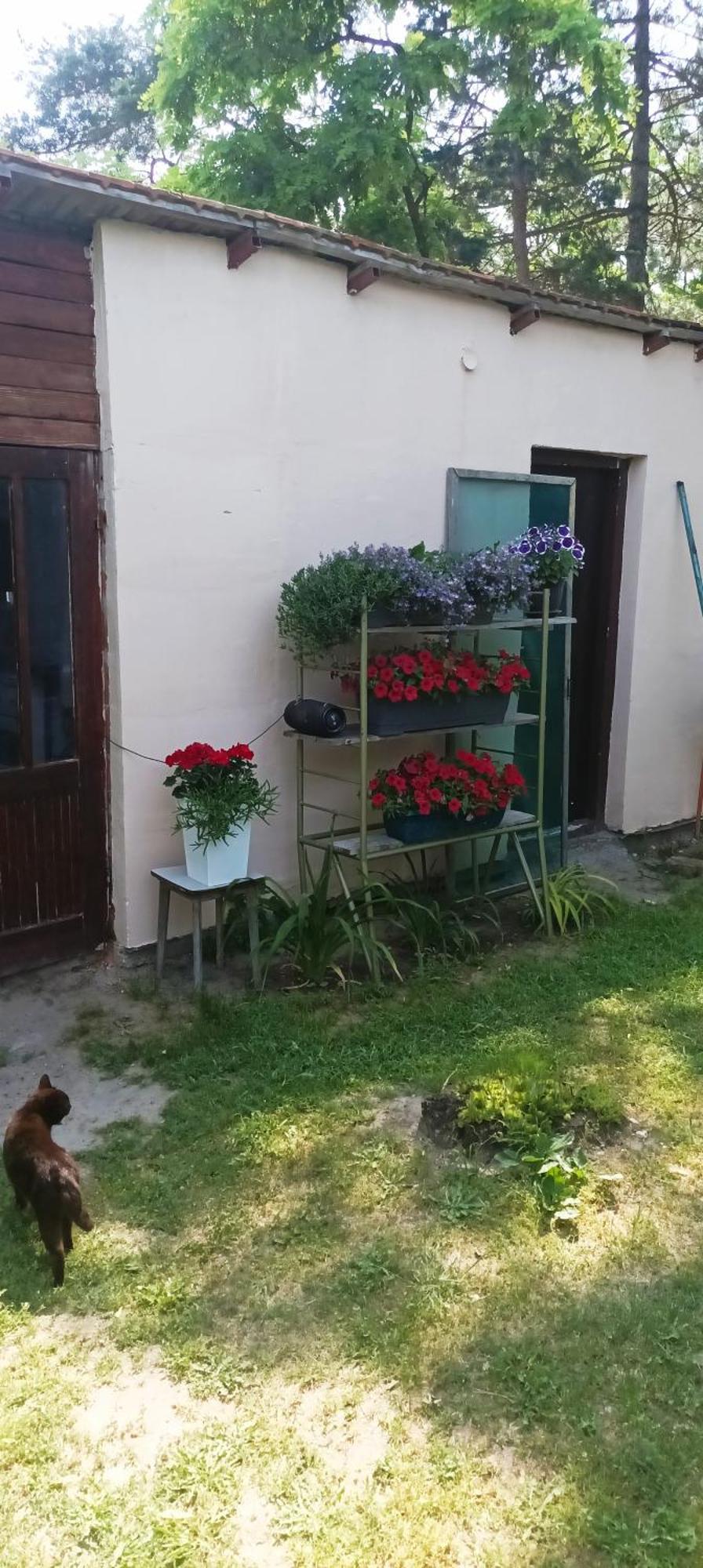 Country house Sobe Masa